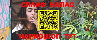 хмурый Гатчина
