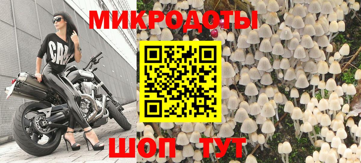 Галлюциногенные грибы Psilocybine cubensis Нижний Тагил