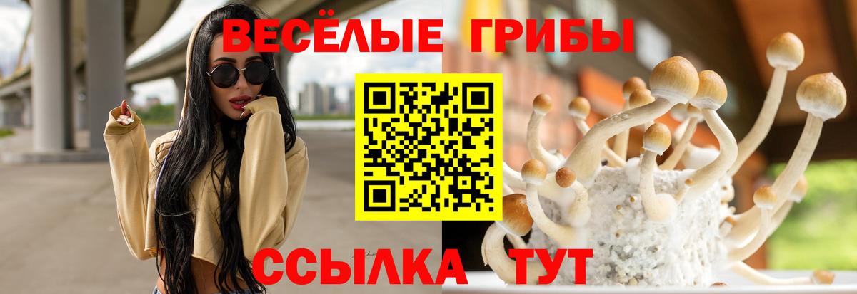Нижний Тагил  Галлюциногенные грибы Psilocybine cubensis  Вход с VPN 
